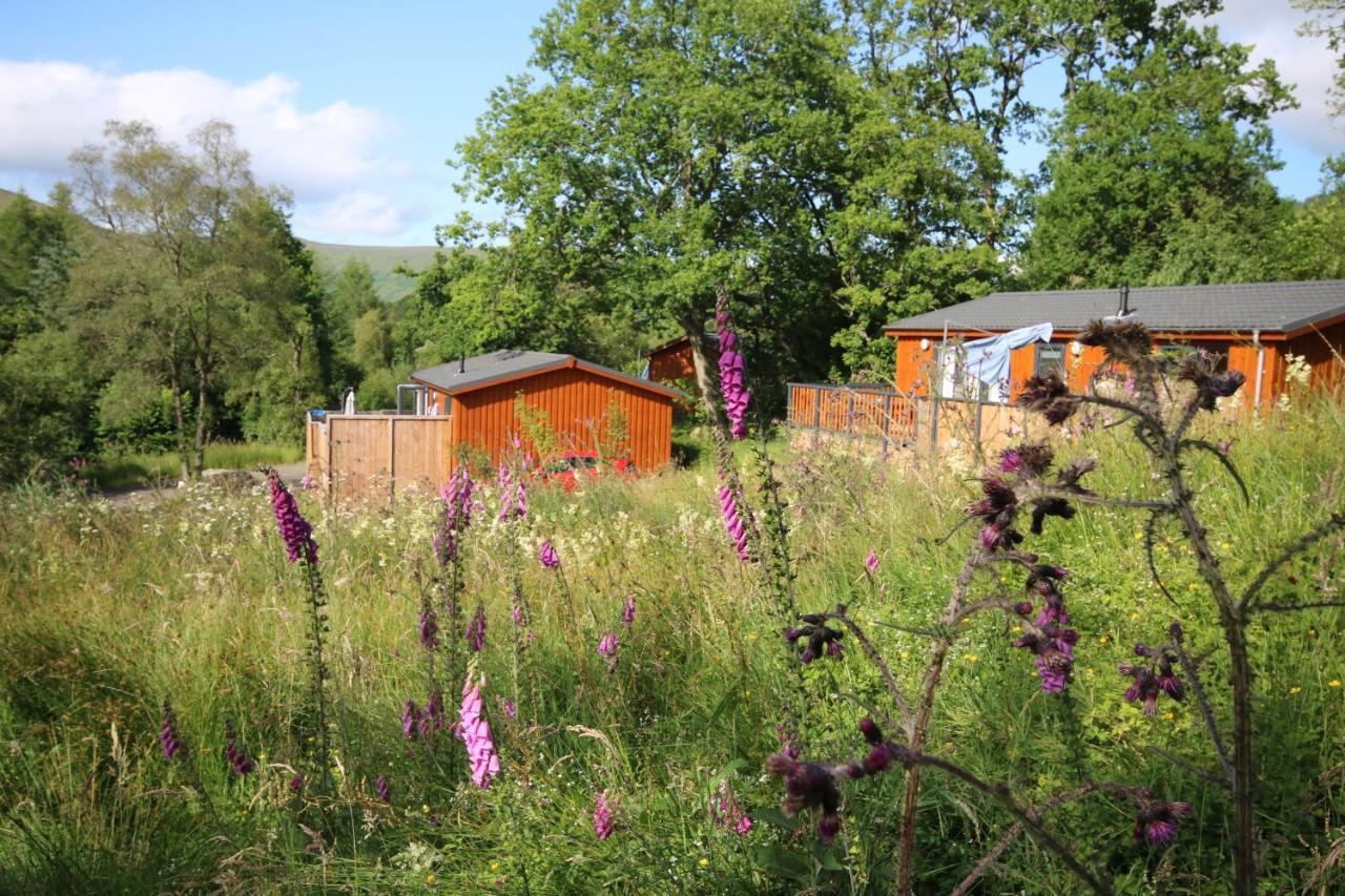 Balquhidder Braes Holiday Park Lodges, Mostly With Hot Tubs And Pet Friendly, Ev Facilities Lochearnhead Esterno foto
