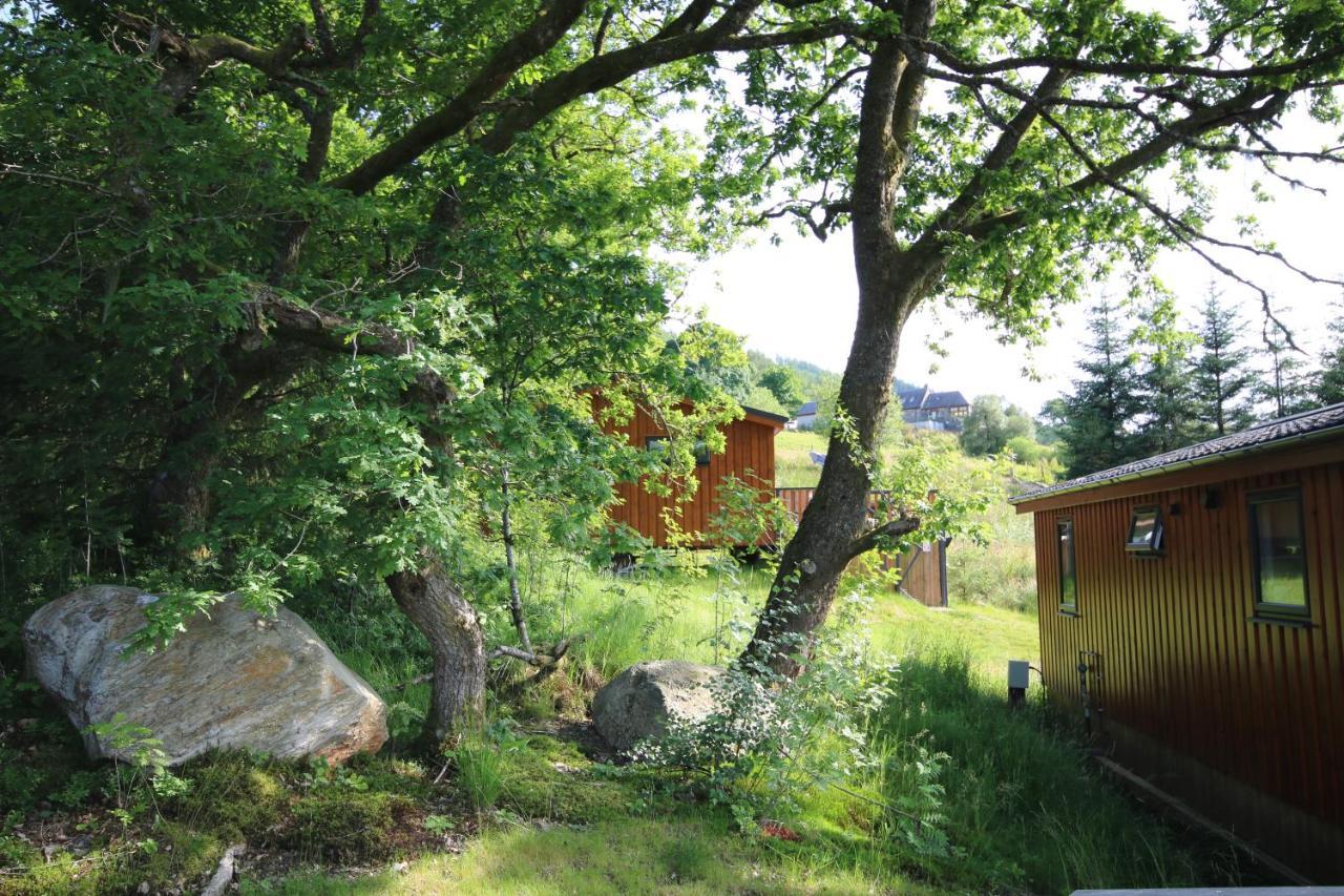 Balquhidder Braes Holiday Park Lodges, Mostly With Hot Tubs And Pet Friendly, Ev Facilities Lochearnhead Esterno foto