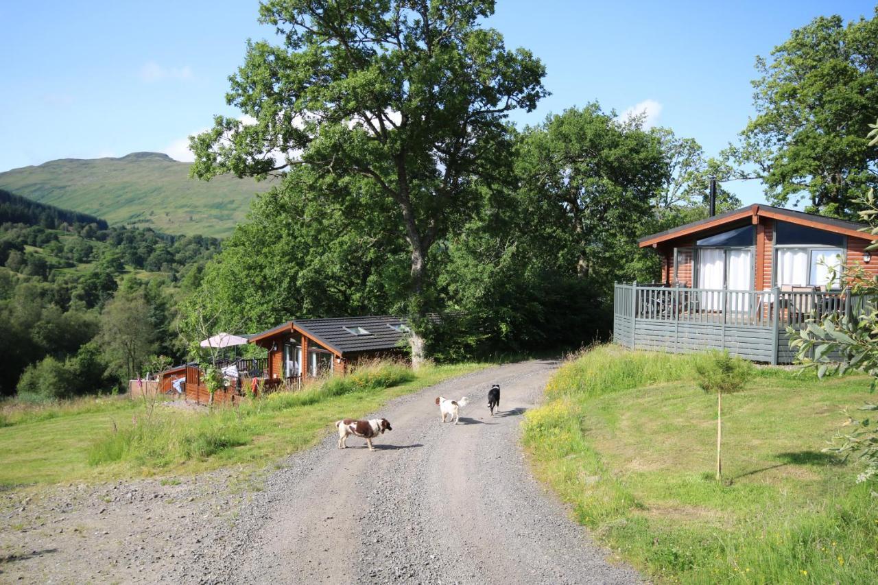 Balquhidder Braes Holiday Park Lodges, Mostly With Hot Tubs And Pet Friendly, Ev Facilities Lochearnhead Esterno foto
