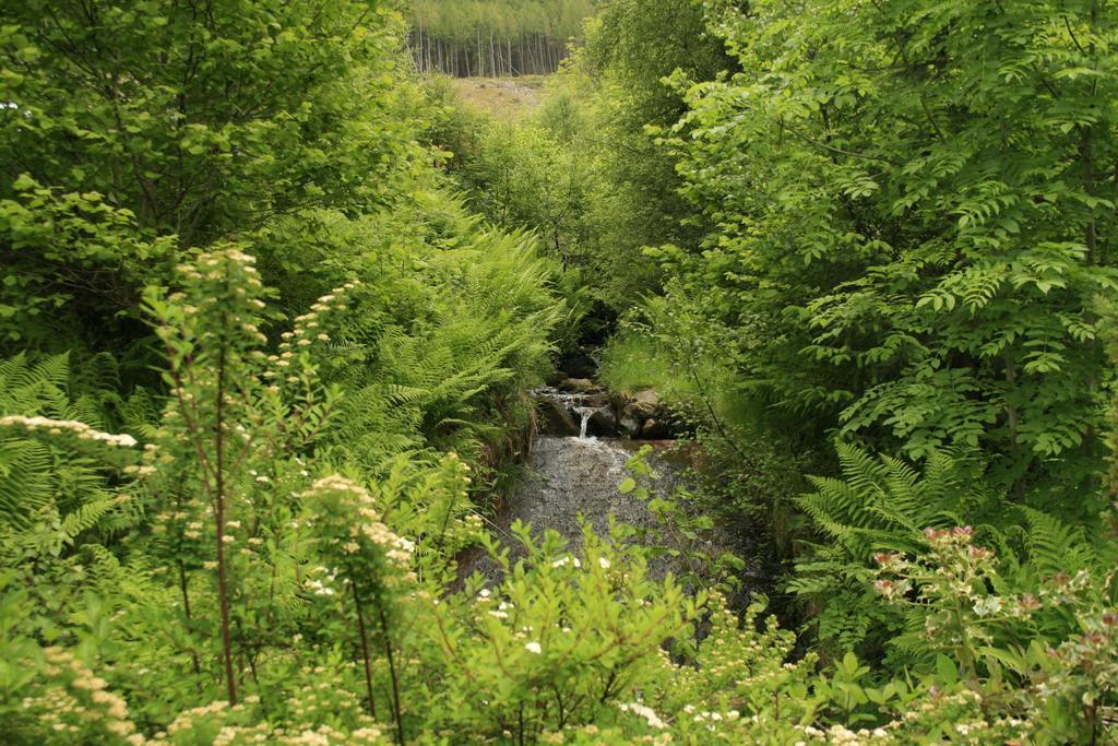 Balquhidder Braes Holiday Park Lodges, Mostly With Hot Tubs And Pet Friendly, Ev Facilities Lochearnhead Esterno foto
