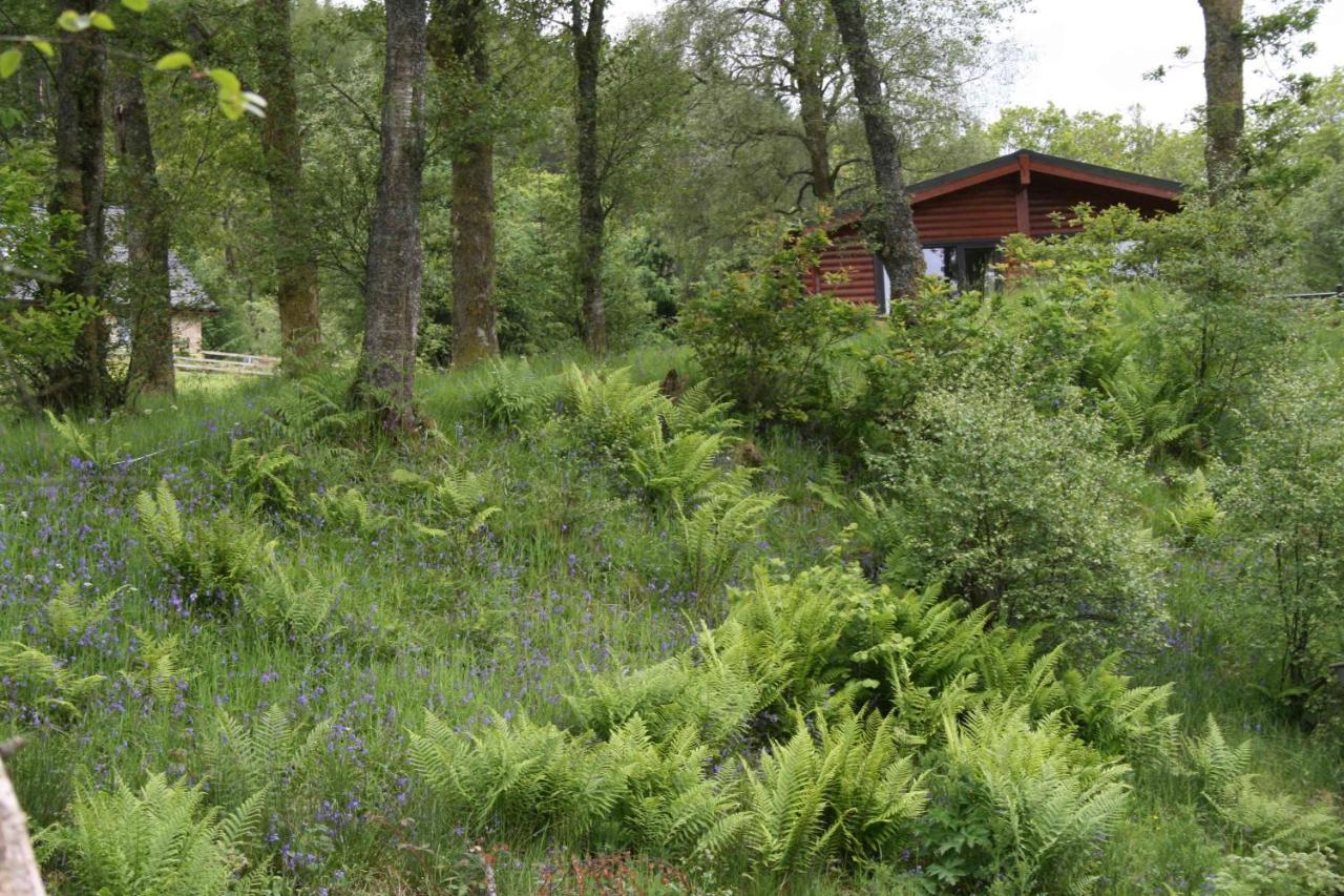 Balquhidder Braes Holiday Park Lodges, Mostly With Hot Tubs And Pet Friendly, Ev Facilities Lochearnhead Esterno foto
